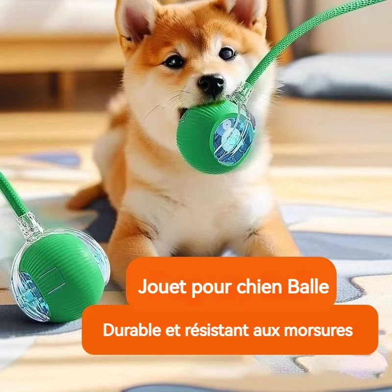 Balle interactive automatique pour chien – rechargeable USB-C