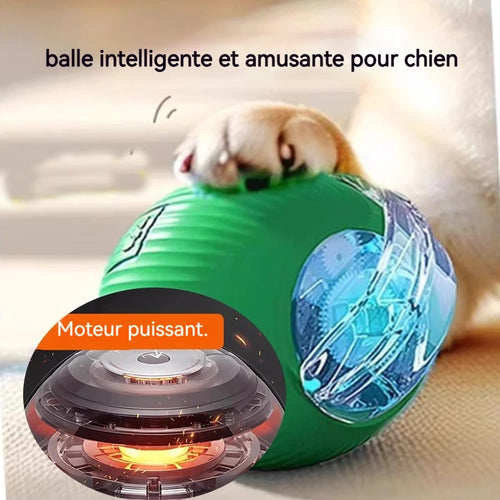 Balle interactive automatique pour chien – rechargeable USB-C
