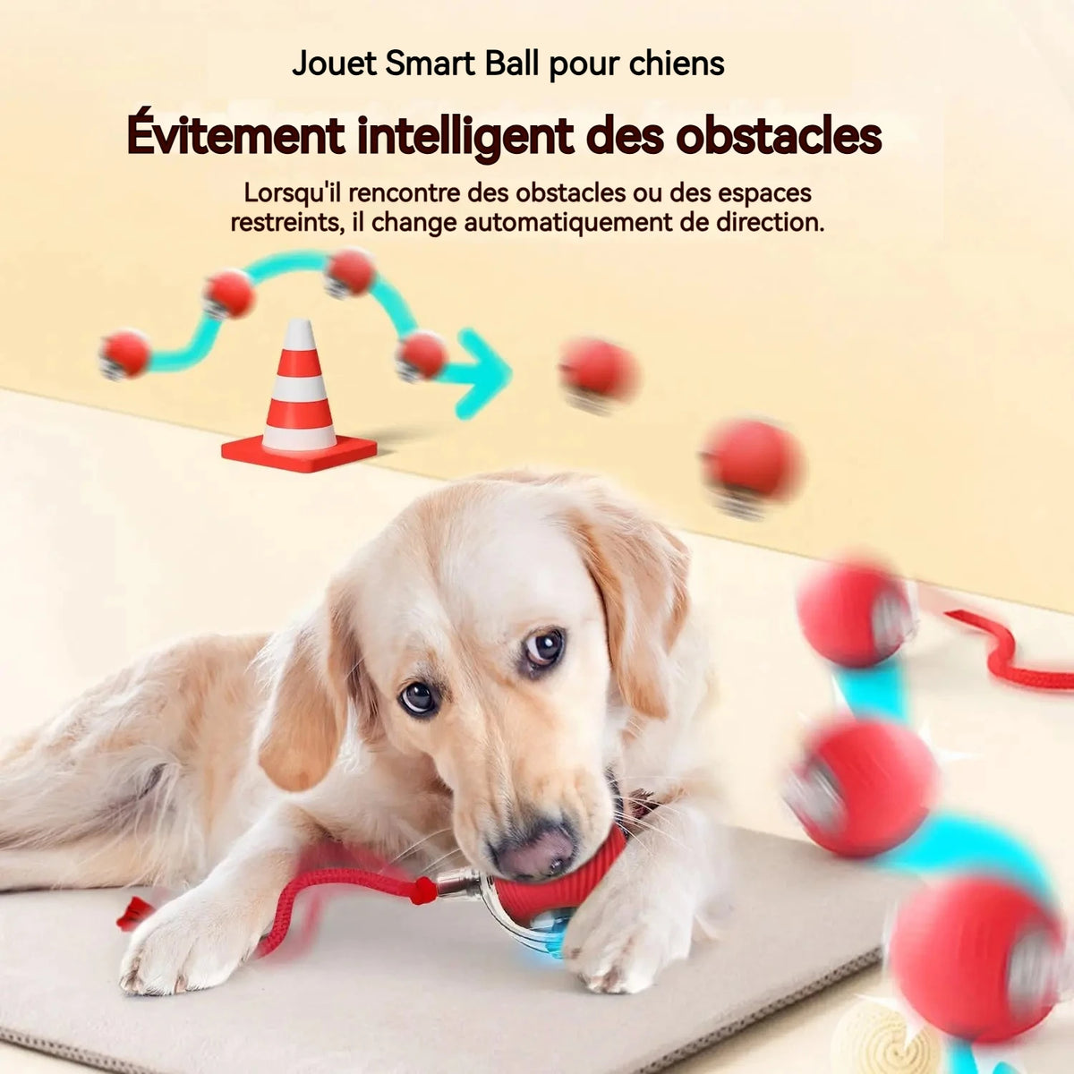 Balle interactive automatique pour chien – rechargeable USB-C