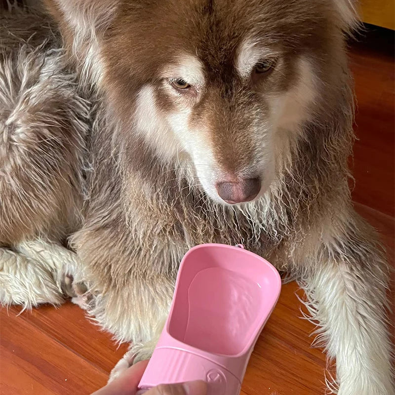 Gourde 2 en 1 pour chien – eau et croquettes, anti-fuite