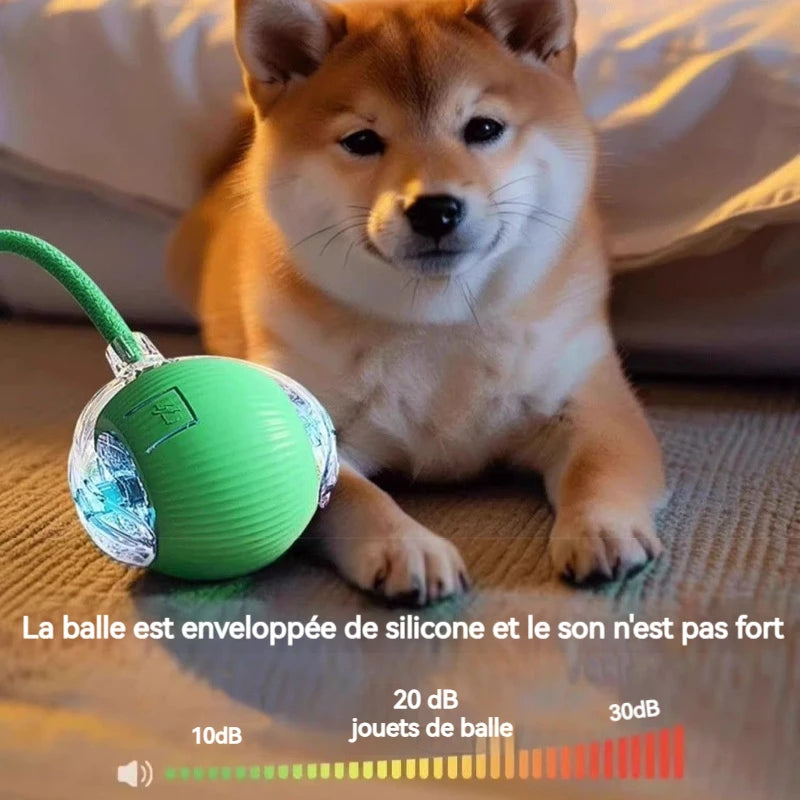 Balle interactive automatique pour chien – rechargeable USB-C