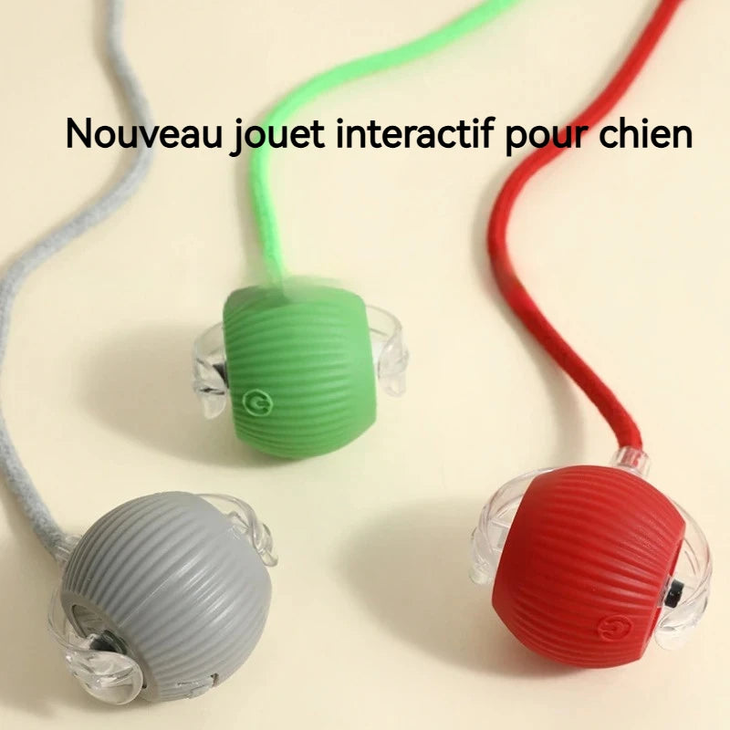 Balle interactive automatique pour chien – rechargeable USB-C